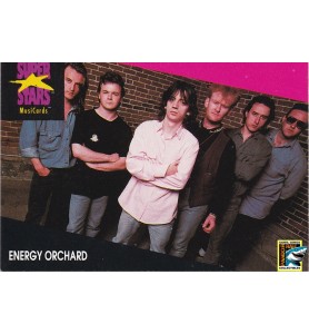 ProSet Super Stars MusiCards Trading Cards Energy Orchard