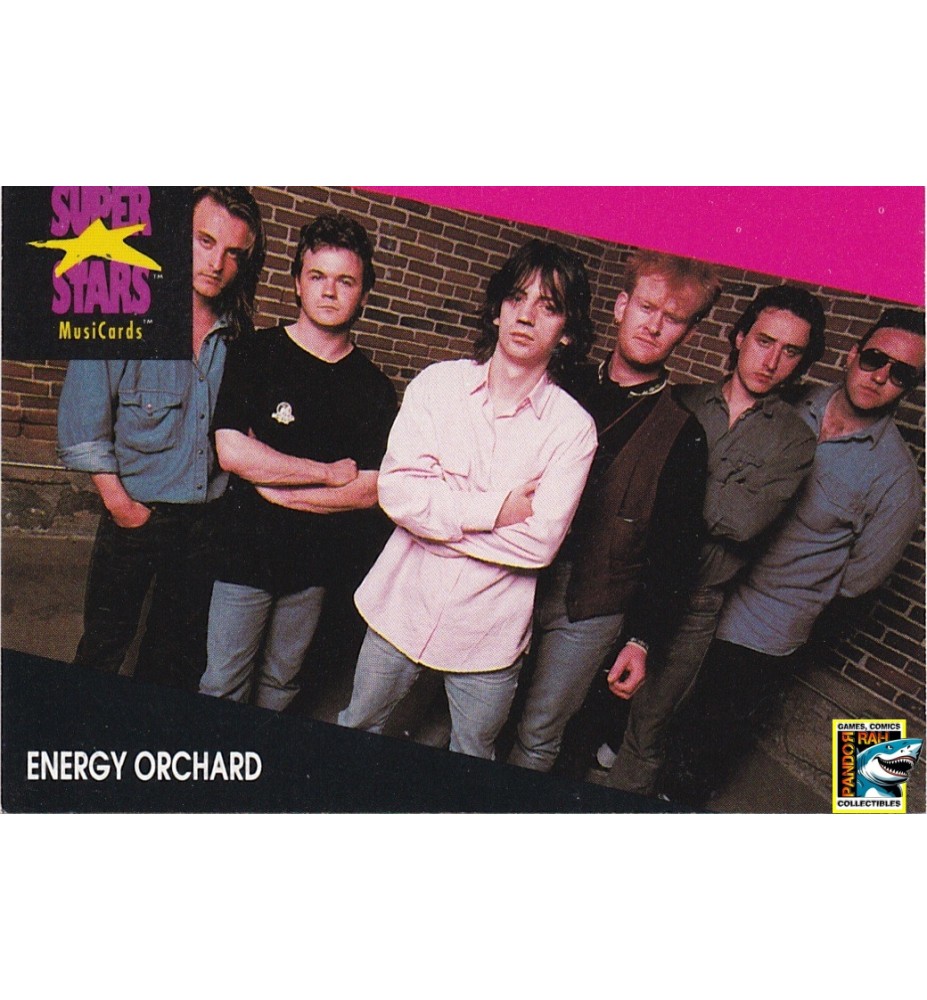 ProSet Super Stars MusiCards Trading Cards Energy Orchard