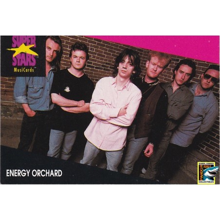 ProSet Super Stars MusiCards Trading Cards Energy Orchard