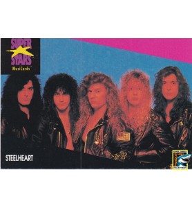 ProSet Super Stars MusiCards Trading Cards Steelheart