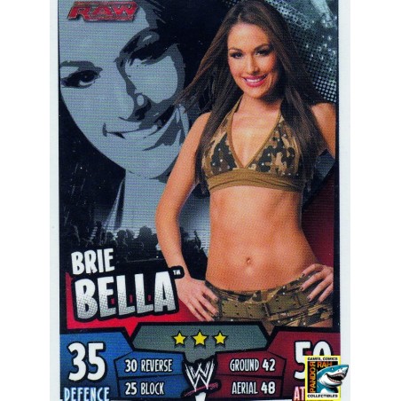 Road To Wrestlemania 2016 25/30 Brie Bella